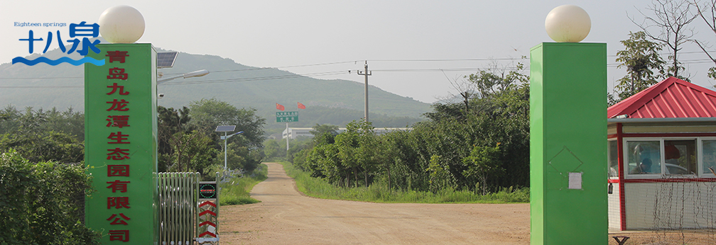 九龍?zhí)渡鷳B(tài)園全景