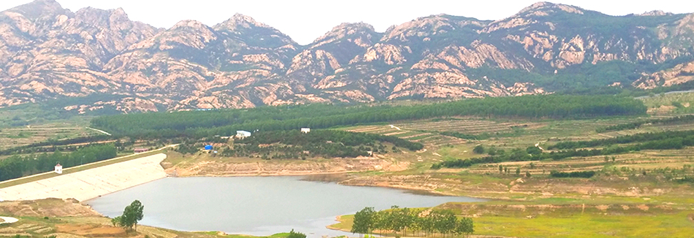 九龍?zhí)端畮?kù)