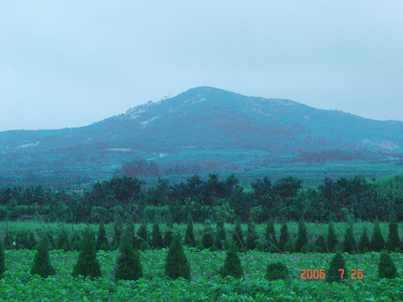 “優質土壤”生態園遠離城鎮，遠離工業區，土壤絕對天然、環保、綠色無污染